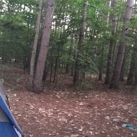 Empire Township Campground Camping | The Dyrt