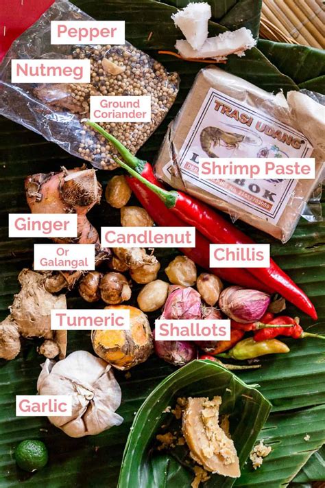 Bumbu Bali - Balinese Spice Paste (Base Genep) | Wandercooks