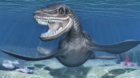 Plesiosaurus pose 002 by Vukaddin on DeviantArt