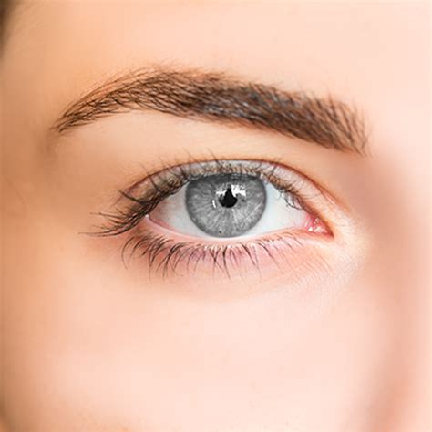 Are gray eyes the same as blue in terms of genetics? - The Tech Interactive