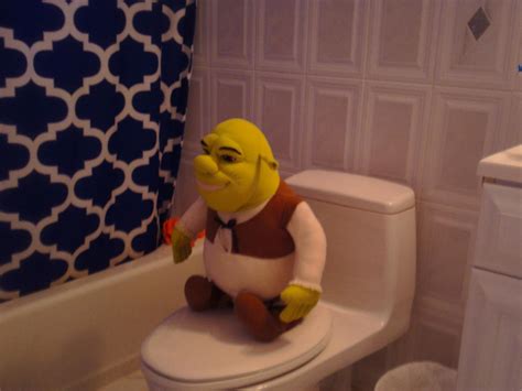 Shrek On Toilet