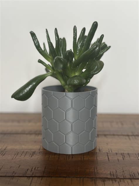 Honeycomb Harmony 3D Printed Indoor Plant Pot - 5 Inch by BA 3D | Download free STL model ...