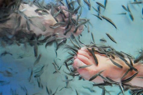 Doctor Fish | Spa About - Υγεία, Ομορφιά, Προορισμοί Ευεξίας