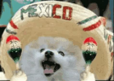 Viva Mexico Splashed Greeting Animation GIF | GIFDB.com