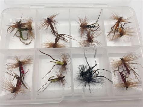 BestCity Fly Fishing Flies HOPPERS 16 Fly Selection + FREE BOX Size 10-12 #331 | BestCity Tackle