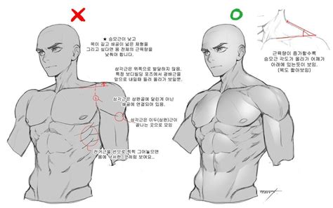 Pin by 蔚海 黃 on 2D_イラストチュートリアル | Anatomy reference, Art reference poses ...