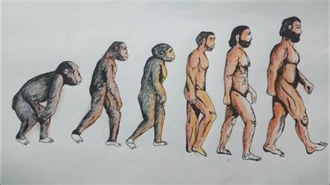 Art of human evolution by Crayon colours - YouTube