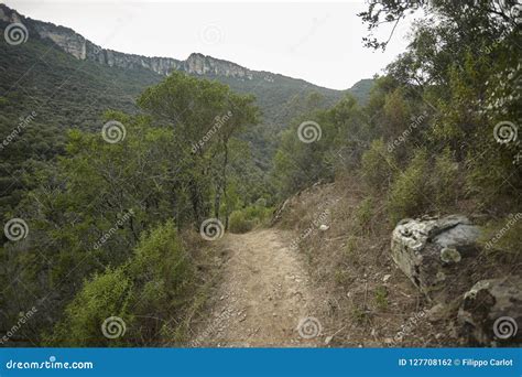 The Small Dirt Path in the Middle of the Mountains. Stock Photo - Image ...