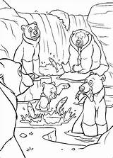 Brother Bear coloring Page To Print  Coloring Pages sketch template