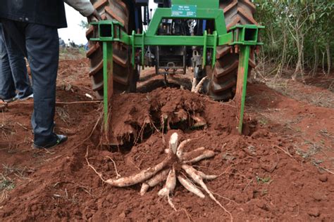 Tek Mechanical Cassava Harvester - Tek Mechanical Cassava Haverster