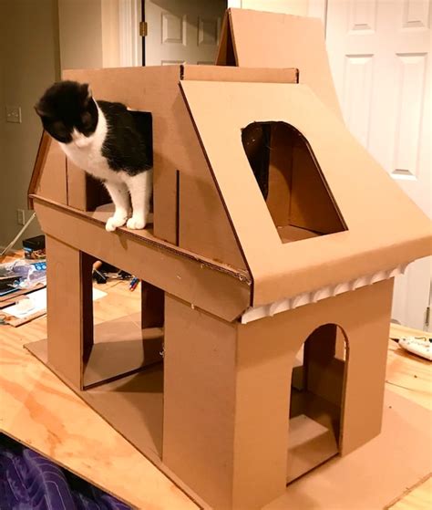 Pensionar Vizor lucarnă diy cardboard cat house Dramă Vacă pâlpâire