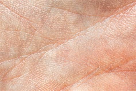 The Texture of the Skin of the Hand. Stock Image - Image of hand, pink: 267799105