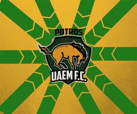 Uaemex Logo - Rector Png Images Pngegg