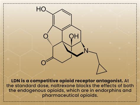 Low-dose Naltrexone (LDN): Usages, Benefits, and Side Effects You Need ...