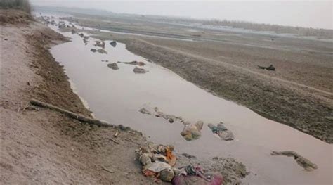 100 bodies found floating in Ganga, probe ordered | India News - The Indian Express