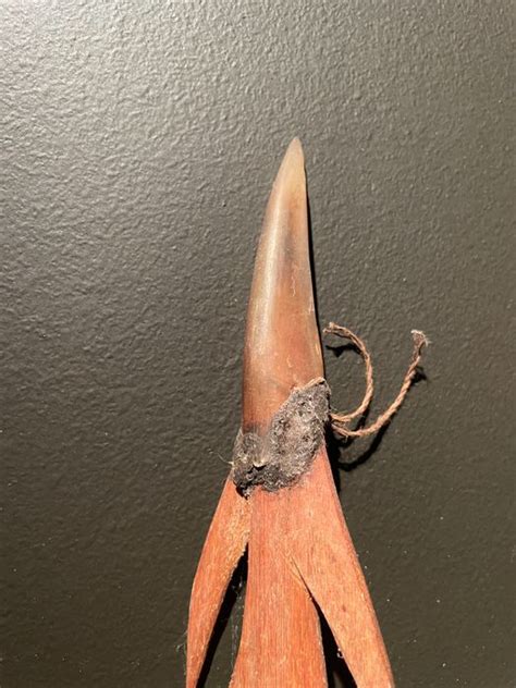 Spear (3) - Bone, Wood - Sepik, Papua New Guinea - Catawiki