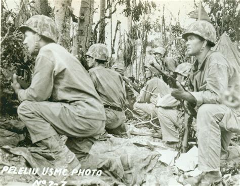 Peleliu USMC Photo No. 2-7 | Usmc, Battle of peleliu, Military marines