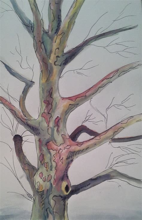 Sycamore Tree Sketch at PaintingValley.com | Explore collection of Sycamore Tree Sketch