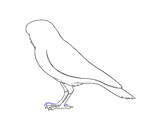 How to Draw a Raven | Step-by-Step Tutorial | Easy Drawing Guides