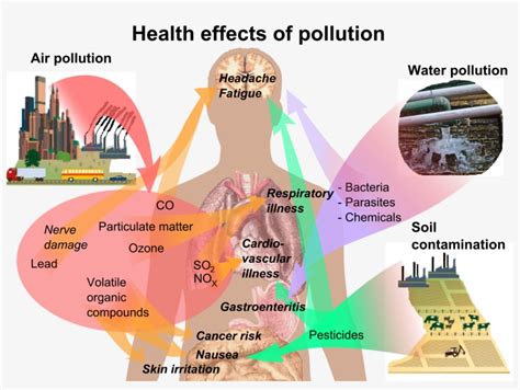 Download Health Effects Of Pollution - Plastic Impact On Human Health ...