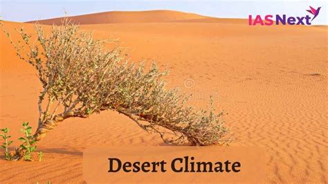 Desert Climate