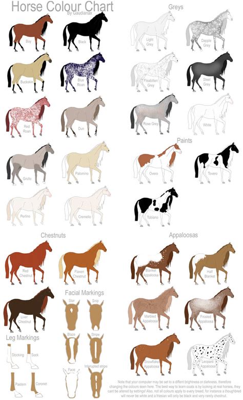 Horse Colour Chart by Gaurdianax on DeviantArt