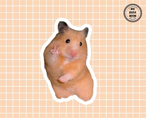 Funny Hamster Vinyl Sticker Hamster Meme Sticker Cute | Etsy