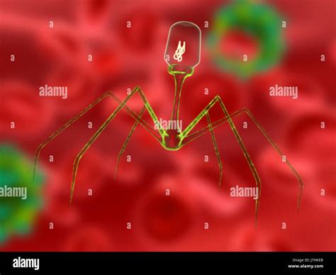 health virus disease infection microorganism illness sickness macro close-up Stock Photo - Alamy