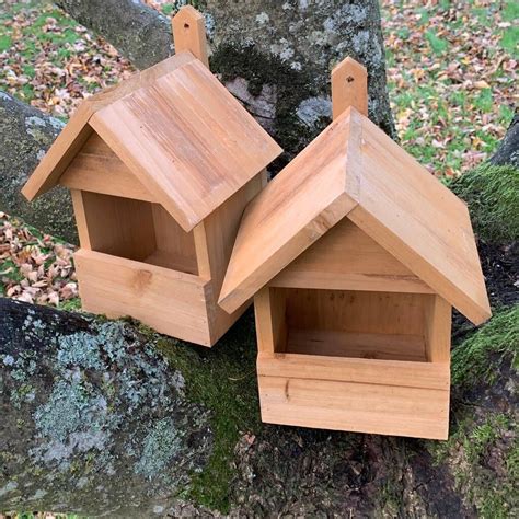 Set Of Two Large Robin Bird Nest Boxes By Garden Selections in 2022 ...