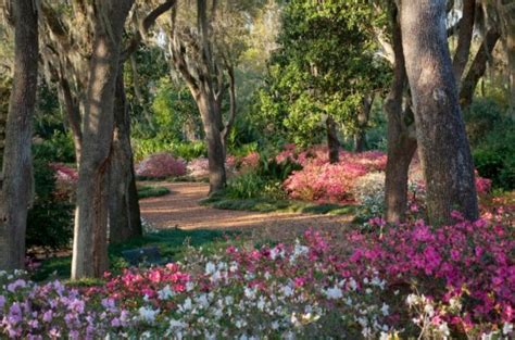 Bok Tower Gardens: Serene National Historic Landmark