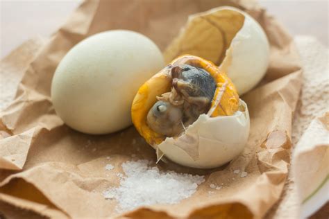 Balut, The Philippine Cultural Staple. - | Hey! Review Food