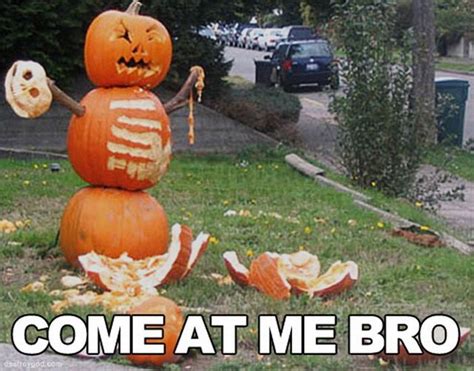 Funny Amazing Hilarious Halloween Pumpkins and Meme's for a Good ...