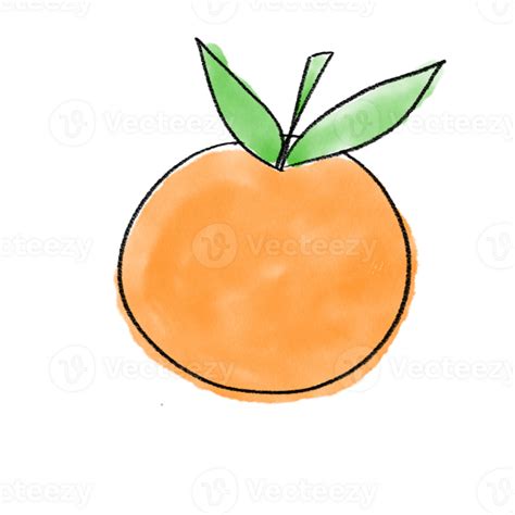 hand drawn watercolor Orange 23477164 PNG