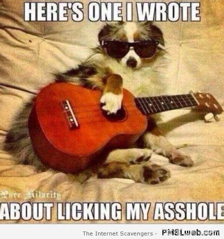 http://www.pmslweb.com/the-blog/wp-content/uploads/2014/08/24-funny-dog-playing-guitar-… (With ...