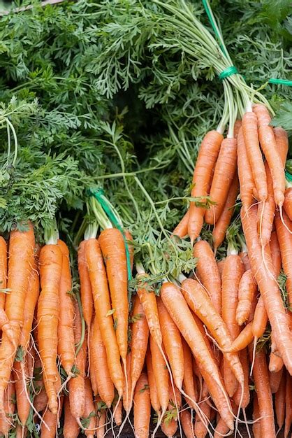 Premium Photo | Root vegetables bunches of raw carrots with green tops