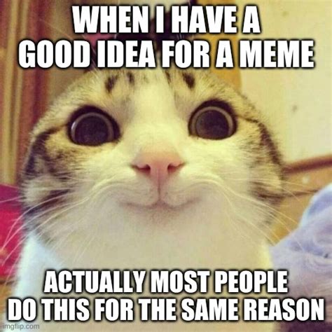 Smiling Cat Meme - Imgflip