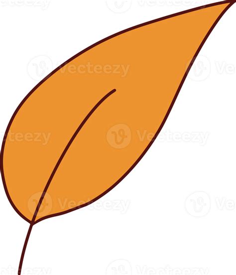 Autumn Hand Drawing with Orange Leaf 27148271 PNG