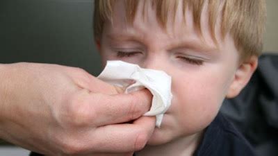 MIT News: Mucus - First Line of Defense in Immune Protection