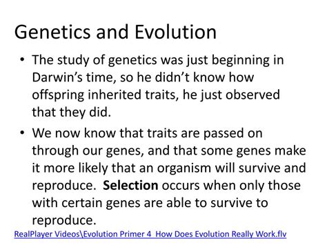 PPT - How Does Evolution Happen? PowerPoint Presentation, free download ...