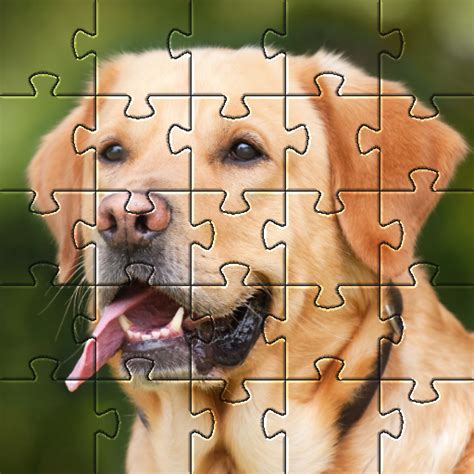 Dogs jigsaw puzzles - Apps on Google Play