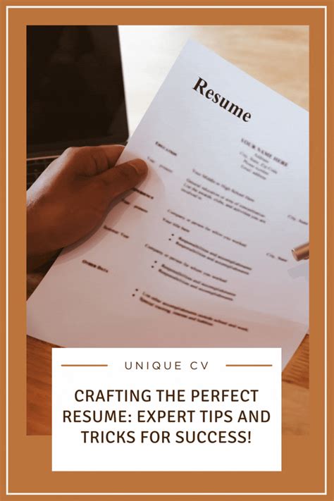 How to Write a Resume in 2024 | Work organization, Perfect resume, Resume