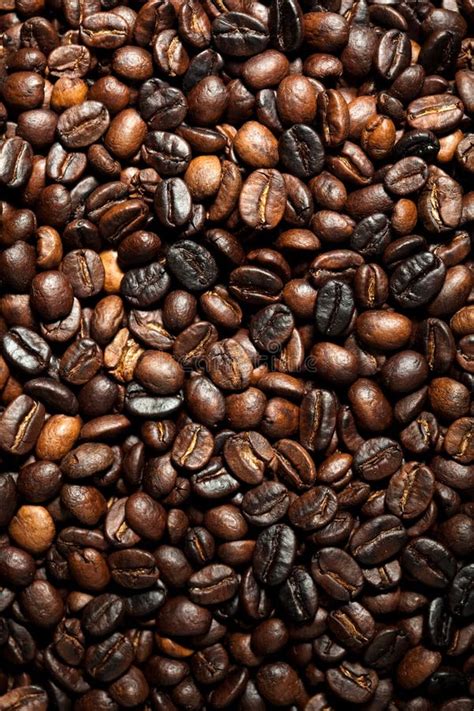 Coffee beans texture stock image. Image of stocking, macro - 13483399
