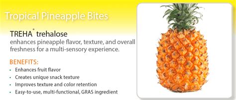 Dried Pineapple Core - Increasing Food Quality with Trehalose