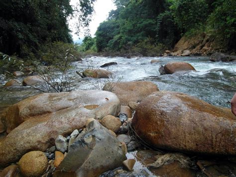 River And Forest Landscape Free Stock Photo - Public Domain Pictures