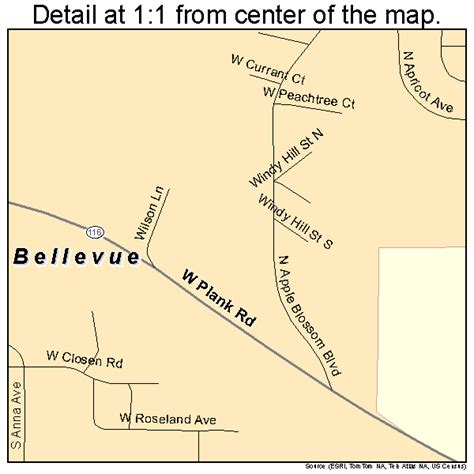 Bellevue Illinois Street Map 1704871