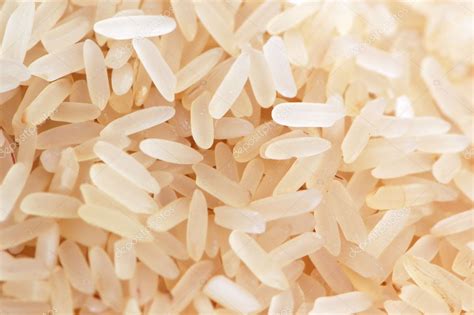 Rice seeds — Stock Photo © eAlisa #4750089