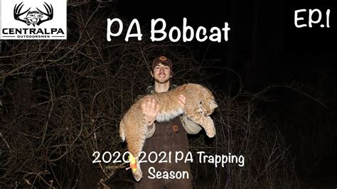 PA BOBCAT Trapping | 2020-2021 PA Trapping Season Ep. 1 - YouTube