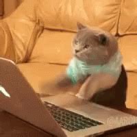 Typing Laptop GIF - Typing Laptop Cat - Discover & Share GIFs