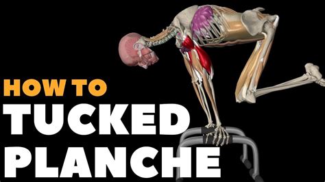 How to do a Tucked Planche | Watch all active muscles - YouTube