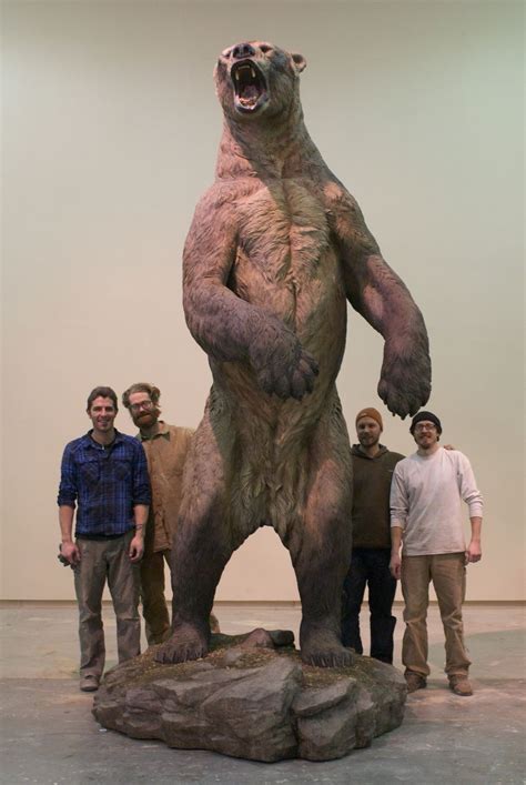 The North American Short-faced bear : r/HumanForScale